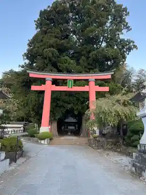 河口浅間神社の鳥居