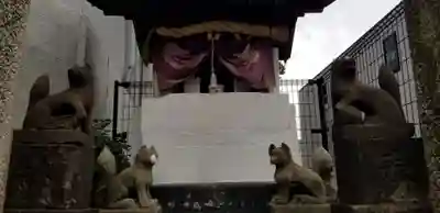 稲荷神社の狛犬