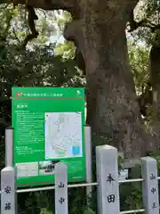 観音寺(愛知県)