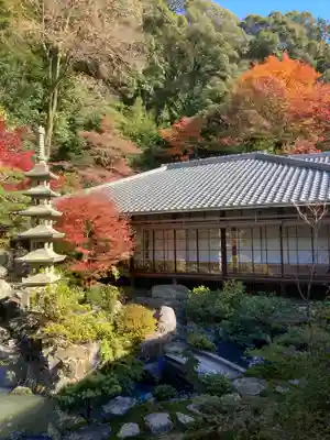 興聖寺(興聖寶林禅寺)(京都府)