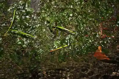 貴船神社(京都府)