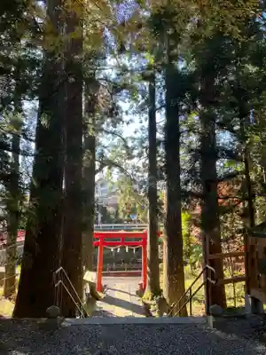 須山浅間神社(静岡県)