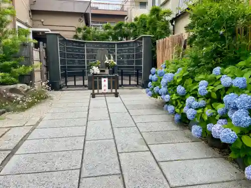 観妙寺(東京都)
