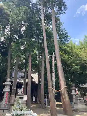 豊川閣　妙厳寺(愛知県)