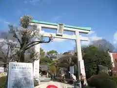 出雲大社相模分祠の鳥居