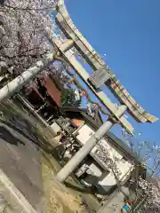 櫛代賀姫神社の鳥居