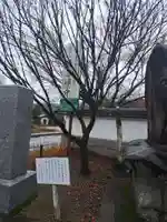 清岩禅寺(福岡県)