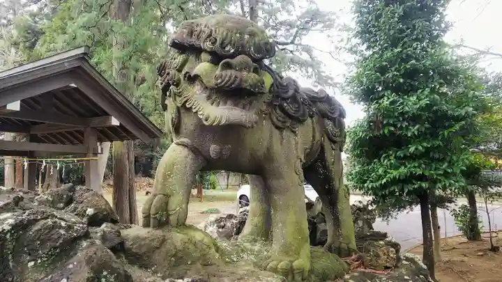 下鶴馬氷川神社の狛犬