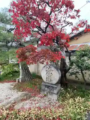 妙栄寺(京都府)