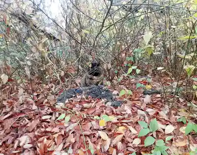 丸子山王日枝神社(神奈川県)