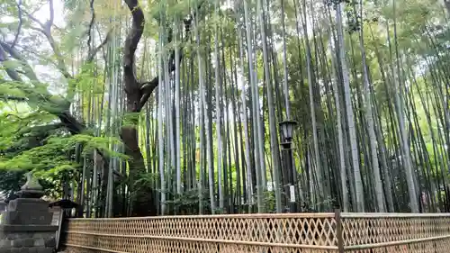 大宮八幡宮の庭園