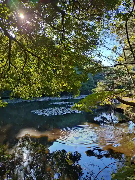明治神宮(東京都)