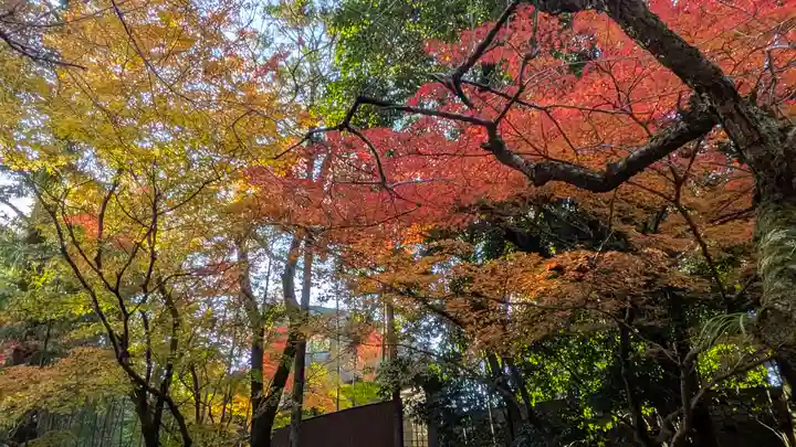 北野天満宮(京都府)