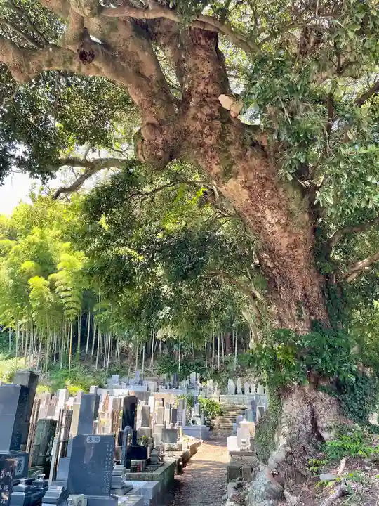 真福寺(神奈川県)