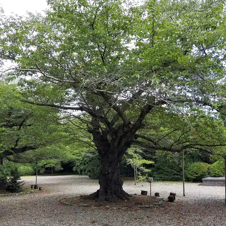 熊野神社(茨城県)