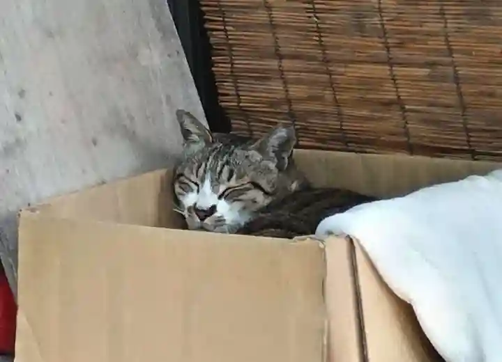 阿邪訶根神社(福島県)