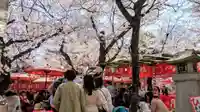 平野神社のお祭り