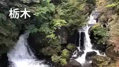 清瀧神社の自然