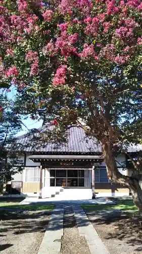 地蔵院の本殿・本堂