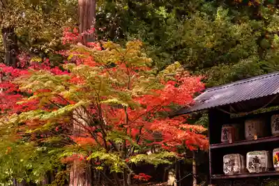 新海三社神社(長野県)