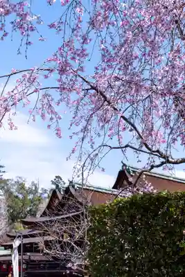 北野天満宮(京都府)