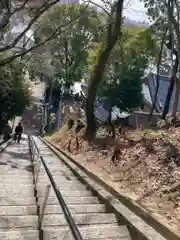 水尾神社の建物その他