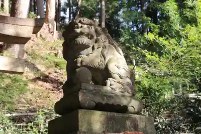 高野根神社の狛犬