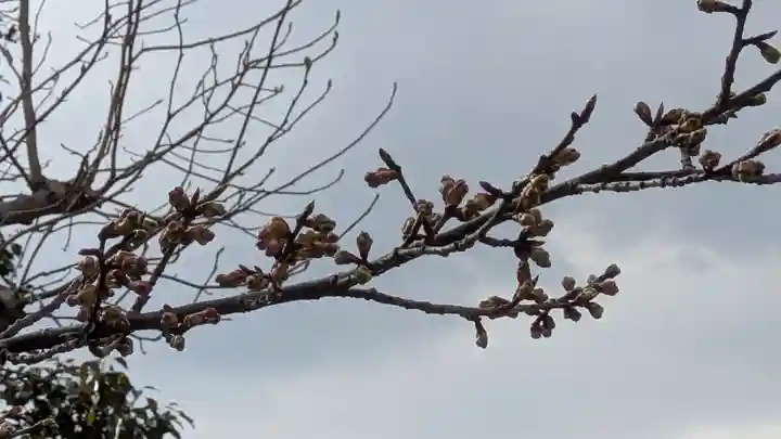 惠心院(恵心院)(京都府)