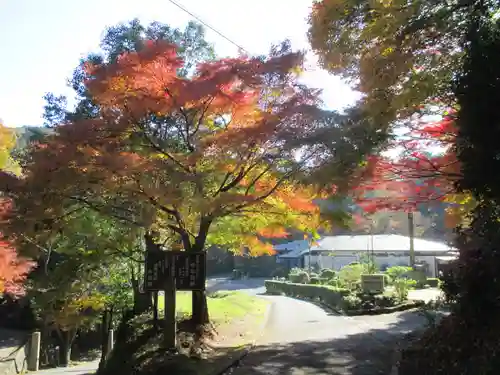 今熊野観音寺(京都府)