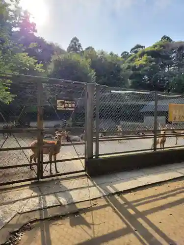 鹿島神宮(茨城県)