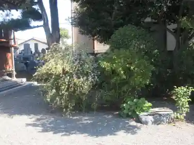 長興寺(静岡県)