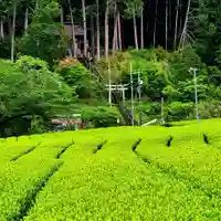 六所神社の鳥居