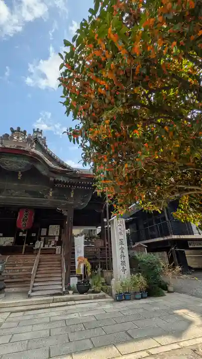行願寺(革堂)(京都府)