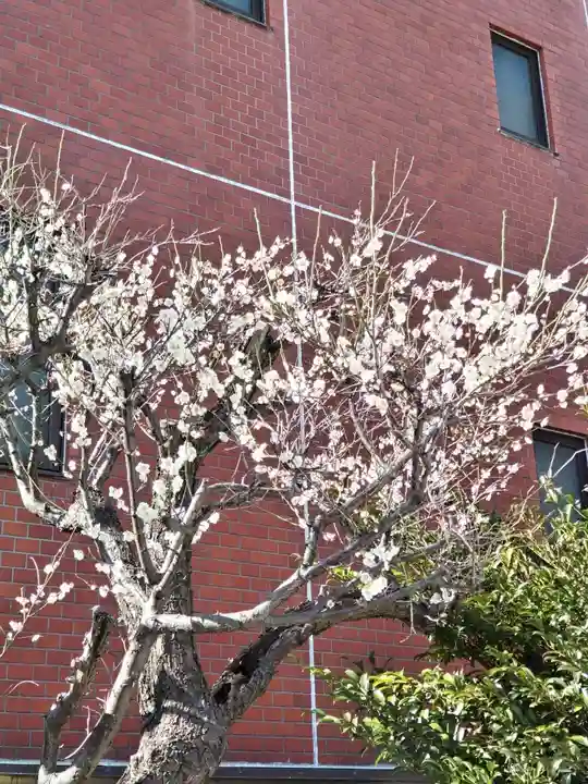 相模原氷川神社(神奈川県)