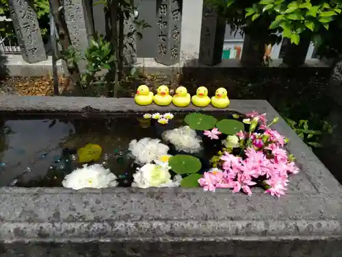 元町厳島神社の手水舎