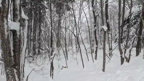 上川神社の自然