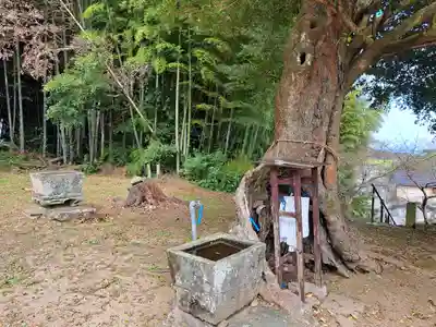 黒雄社の手水舎