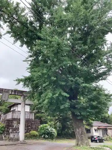 加波山三枝祇神社本宮(茨城県)