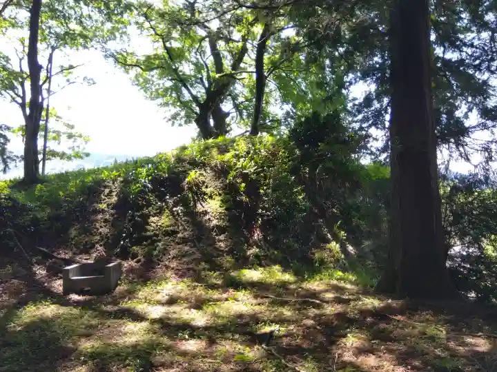 白山神社の{uncategorized: "未分類", other: "その他", undefined: "問題あり", building: "その他建物", grave: "お墓", sacred_gate: "鳥居", guardian: "狛犬", statue: "像", buddha: "仏像", history: "歴史", nature: "自然", garden: "庭園", animal: "動物", pagoda: "塔", temizu: "手水舎", mountain_gate: "山門・神門", sanctuary: "本殿・本堂", subordinate: "末社・摂社", art: "芸術", scenery: "景色", jizo: "地蔵", ema: "絵馬", goshuin: "御朱印", omikuji: "おみくじ", items: "授与品その他", amulet: "お守り", goshuincho: "御朱印帳", eats: "食事", festival: "お祭り", votive_dance: "神楽", shichigosan: "七五三参", wedding: "結婚式", experience: "体験その他", initially: "初詣", around: "周辺", anti_infection: "感染症対策"}