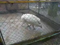 和気神社の動物