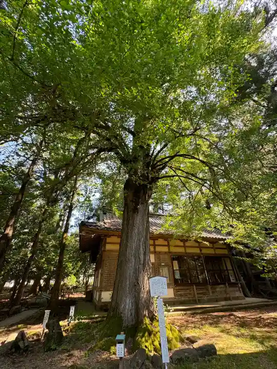 若狭姫神社(若狭彦神社下社)(福井県)