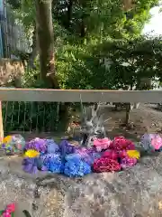 彌都加伎神社の手水