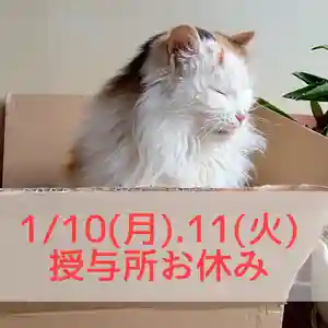 阿邪訶根神社(福島県) 2022年01月10日(月)〜(2022年01月10日(月) 08時15分17秒投稿)