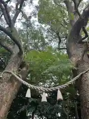 大津日吉神社(熊本県)