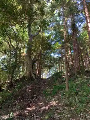 薬師如来の周辺