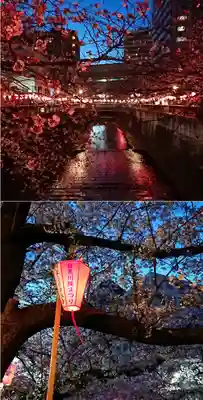 上目黒氷川神社(東京都)