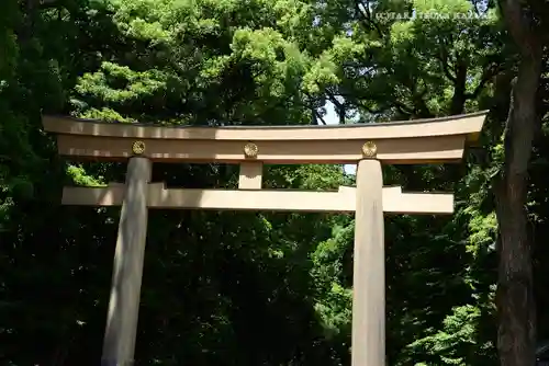 明治神宮(東京都)