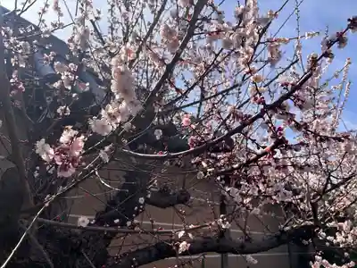 曹源寺(愛知県)