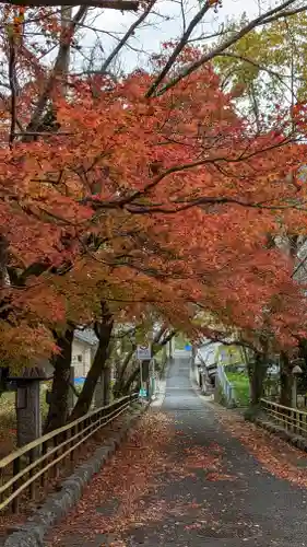 岩屋寺(京都府)