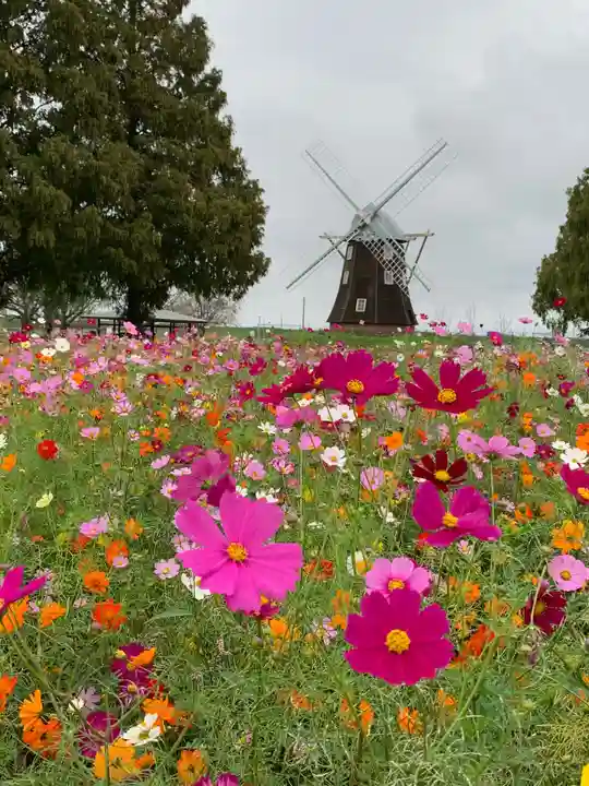 布施弁天 東海寺の周辺